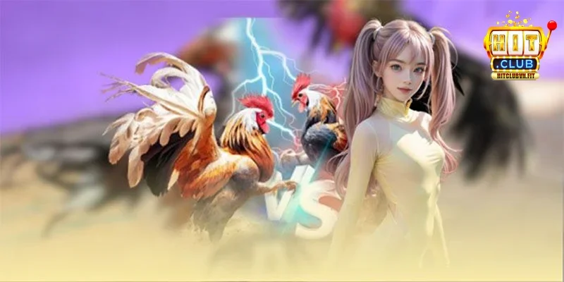Các Giải Đấu & Sự Kiện Game 789Club Sắp Diễn Ra Giải đấu Đua Top